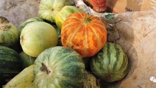 网红大瓜搜索,一场娱乐圈的狂欢与揭秘