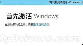 独家爆料最新消息