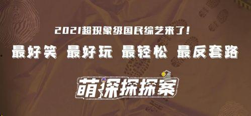 不干了 独家爆料视频,不干了独家爆料视频深度解析